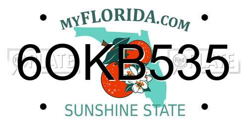 6OKB535 Florida License Plate
