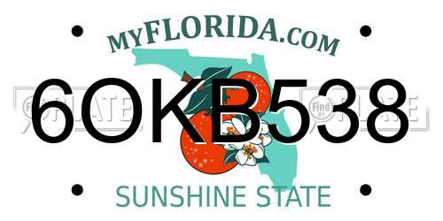 6OKB538 Florida License Plate