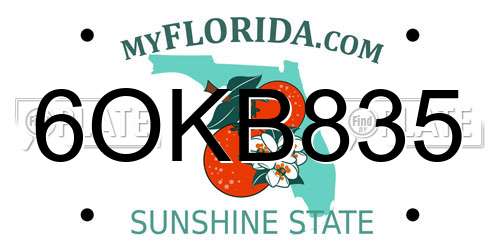 6OKB835 Florida License Plate