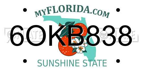 6OKB838 Florida License Plate