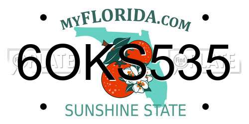 6OKS535 Florida License Plate