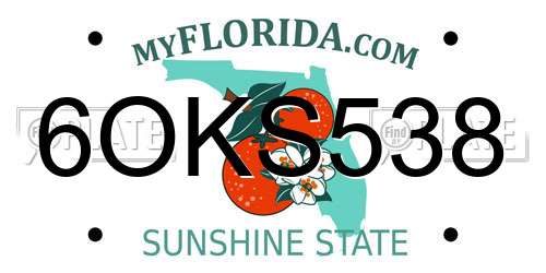 6OKS538 Florida License Plate