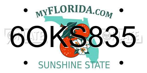 6OKS835 Florida License Plate