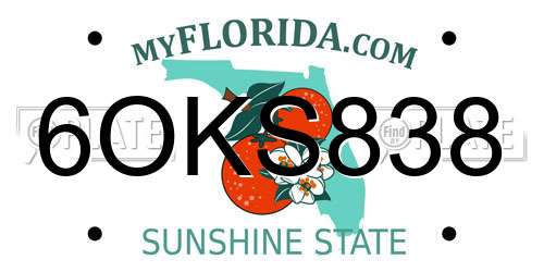 6OKS838 Florida License Plate