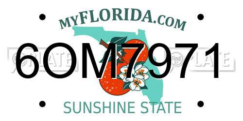 6OM7971 Florida License Plate