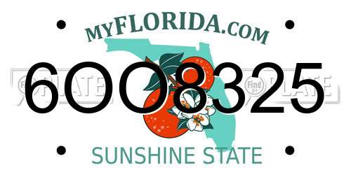 6OO8325 Florida License Plate