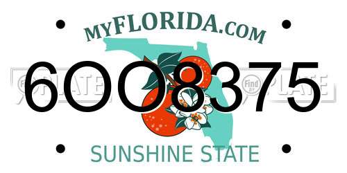 6OO8375 Florida License Plate