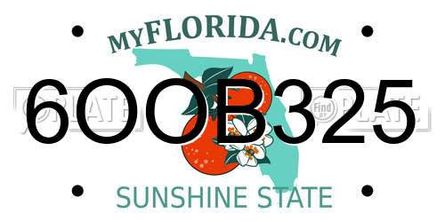 6OOB325 Florida License Plate