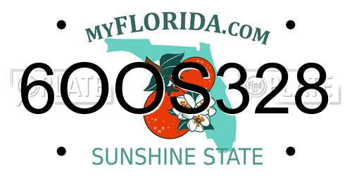 6OOS328 Florida License Plate