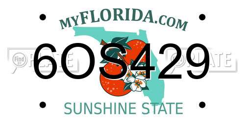 6OS429 Florida License Plate