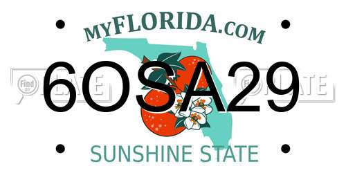 6OSA29 Florida License Plate