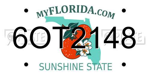 6OT2148 Florida License Plate