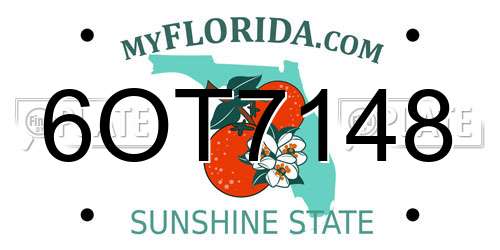 6OT7148 Florida License Plate