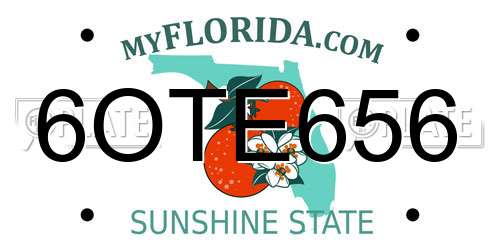 6OTE656 Florida License Plate