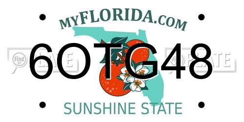 6OTG48 Florida License Plate