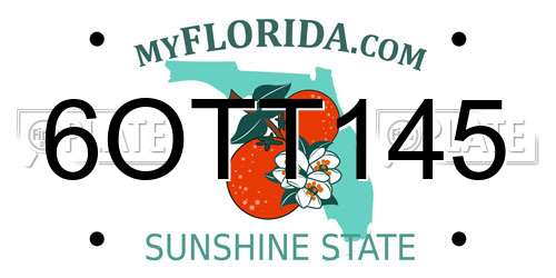 6OTT145 Florida License Plate