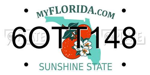 6OTT148 Florida License Plate