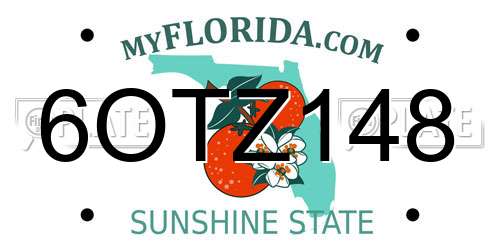 6OTZ148 Florida License Plate
