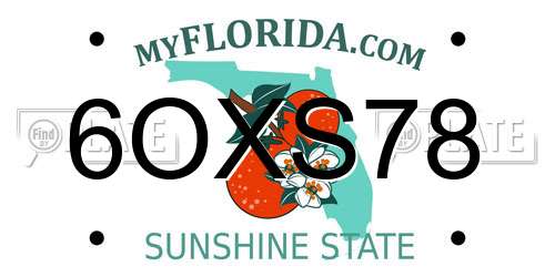 6OXS78 Florida License Plate