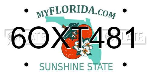 6OXT481 Florida License Plate