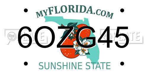 6OZG45 Florida License Plate