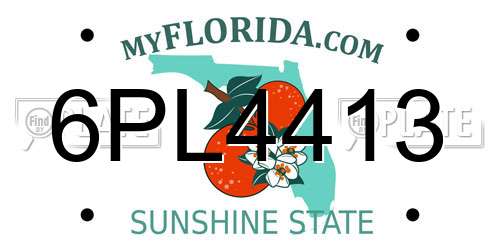 6PL4413 Florida License Plate