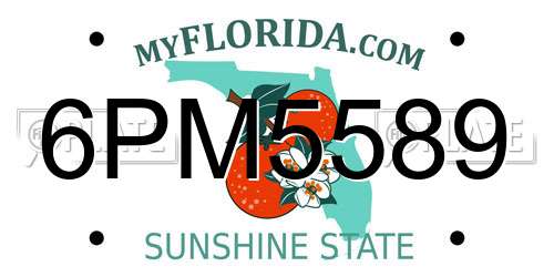 6PM5589 Florida License Plate