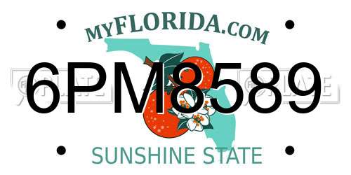 6PM8589 Florida License Plate