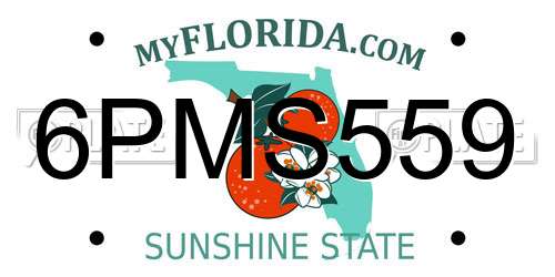 6PMS559 Florida License Plate