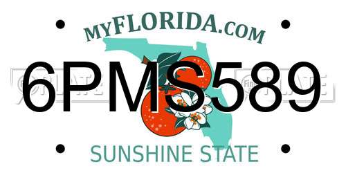 6PMS589 Florida License Plate
