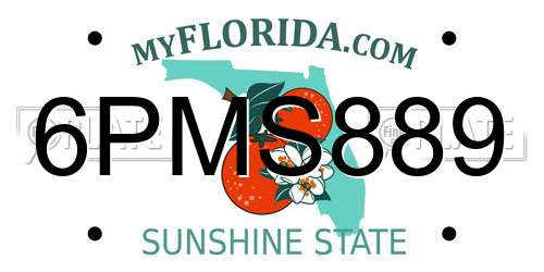 6PMS889 Florida License Plate