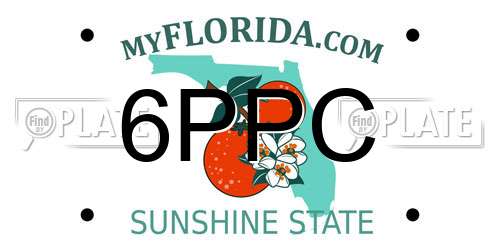 6PPC Florida License Plate