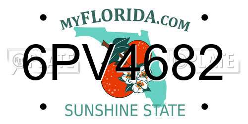 6PV4682 Florida License Plate
