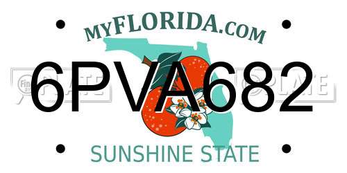 6PVA682 Florida License Plate