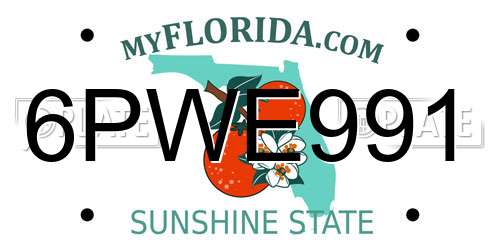 6PWE991 Florida License Plate
