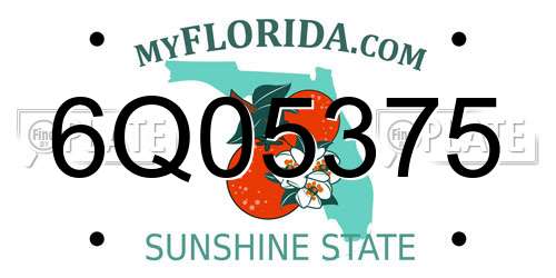 6Q05375 Florida License Plate