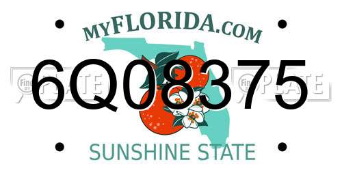 6Q08375 Florida License Plate