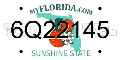 6Q22145 Florida License Plate