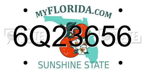 6Q23656 Florida License Plate