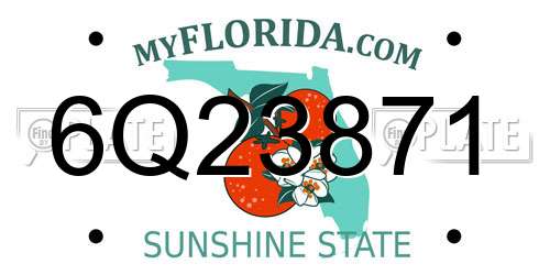 6Q23871 Florida License Plate