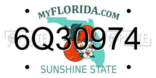 6Q30974 Florida License Plate