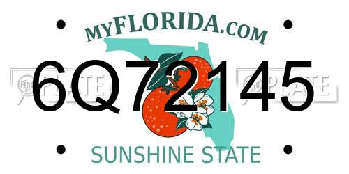 6Q72145 Florida License Plate