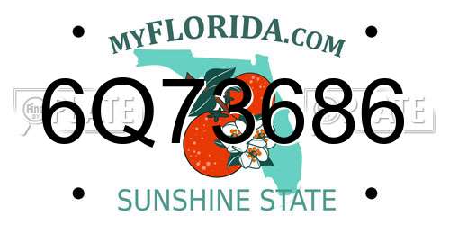 6Q73686 Florida License Plate