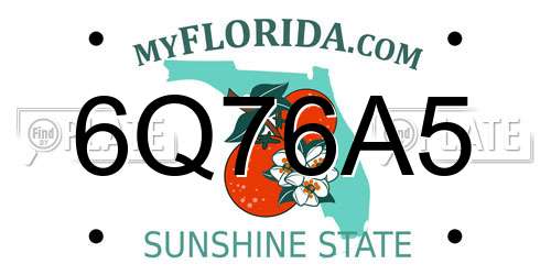 6Q76A5 Florida License Plate