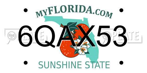 6QAX53 Florida License Plate