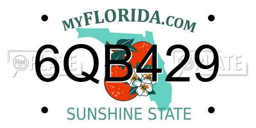 6QB429 Florida License Plate