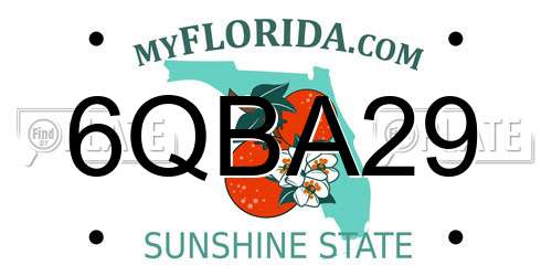 6QBA29 Florida License Plate