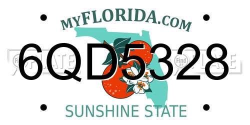 6QD5328 Florida License Plate