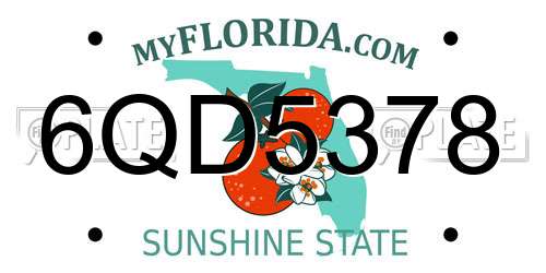 6QD5378 Florida License Plate