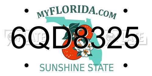 6QD8325 Florida License Plate